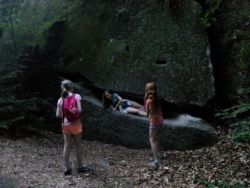 IMG_20210623_211746.jpg