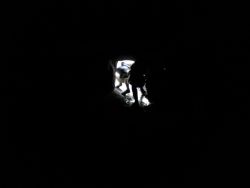 IMG_20210624_112535.jpg