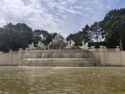 IMG_20220608_103626.jpg