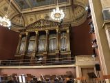 IMG_9995.jpeg