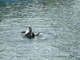 IMG_6728.JPEG