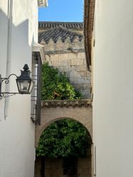 IMG_6855.JPEG