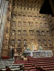 IMG_6834.JPEG