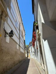 IMG_6881.JPEG