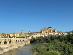 IMG_6878.JPEG