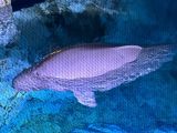 IMG_6738.JPEG