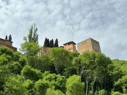 IMG_6762.JPEG