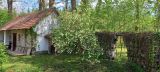 IMG-20240510-WA0001.jpg