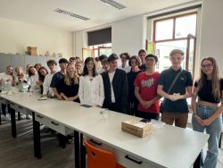IMG_6503 (1).jpeg
