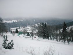 1098732383_14.jpg