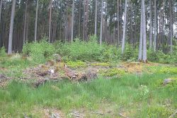 IMAG0068.jpg
