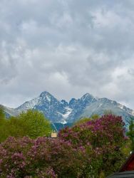 tatry7.jpg