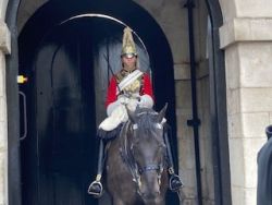 7. The Mounted Guards.jpg