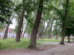 1. Bruges - Bequinage Park.jpg