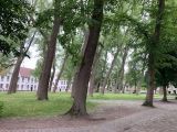 1. Bruges - Bequinage Park.jpg