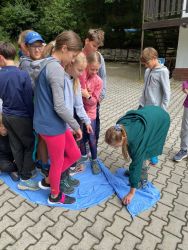 IMG_2219.jpg