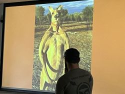 Roger, the kangaroo.jpg
