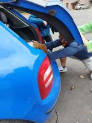 IMG-20251001-WA0007.jpg