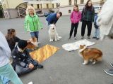 IMG-20251001-WA0011.jpg