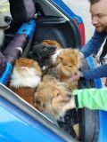 IMG-20251001-WA0008.jpg