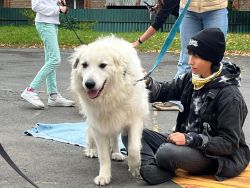 IMG-20251001-WA0022.jpg