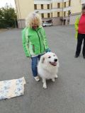 IMG-20251001-WA0012.jpg