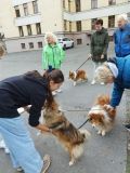 IMG-20251001-WA0017.jpg