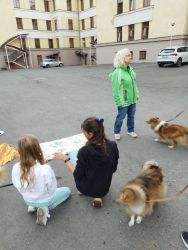 IMG-20251001-WA0016.jpg