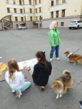 IMG-20251001-WA0016.jpg