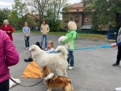 IMG-20251001-WA0027.jpg