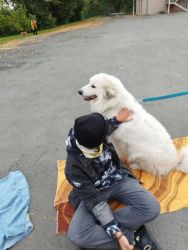 IMG-20251001-WA0018.jpg
