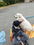 IMG-20251001-WA0018.jpg