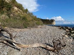 IMG_2368.JPEG