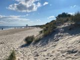 IMG_2330.JPEG
