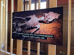 Autorský úvod- video.jpeg