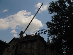 IMG_9536.JPG