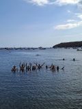 20260917_150735.jpg