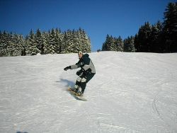 1140263617_44.jpg