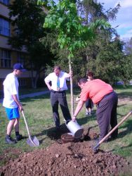 1179393954_zalevame2.jpg