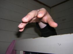 Možná to tak skoro nevypadá, ale je to ruka. -Foto Bára