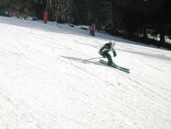 1201501104_p1010024a.jpg