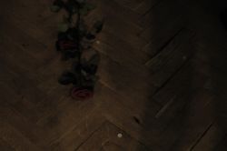 1205092068_19.jpg