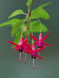 1205143546_fata_morgana_19.jpg