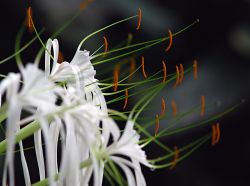 1205143658_fata_morgana_34.jpg