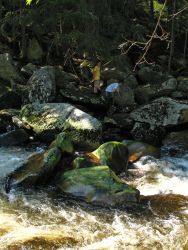 Vydrab (Šumava)