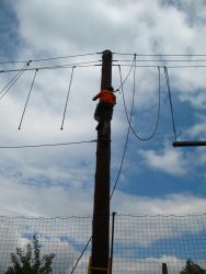 1211983378_img_0320.jpg