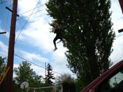 1211983903_img_0340.jpg