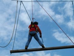 1211983945_img_0327.jpg
