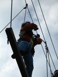 1211984007_img_0331.jpg