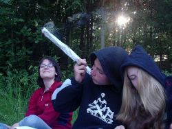 Mega Joint